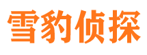 茂县市侦探公司